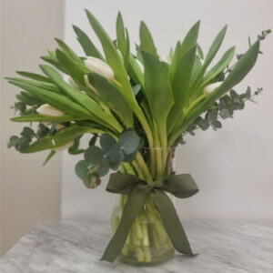 Tulipanes Sorpresa