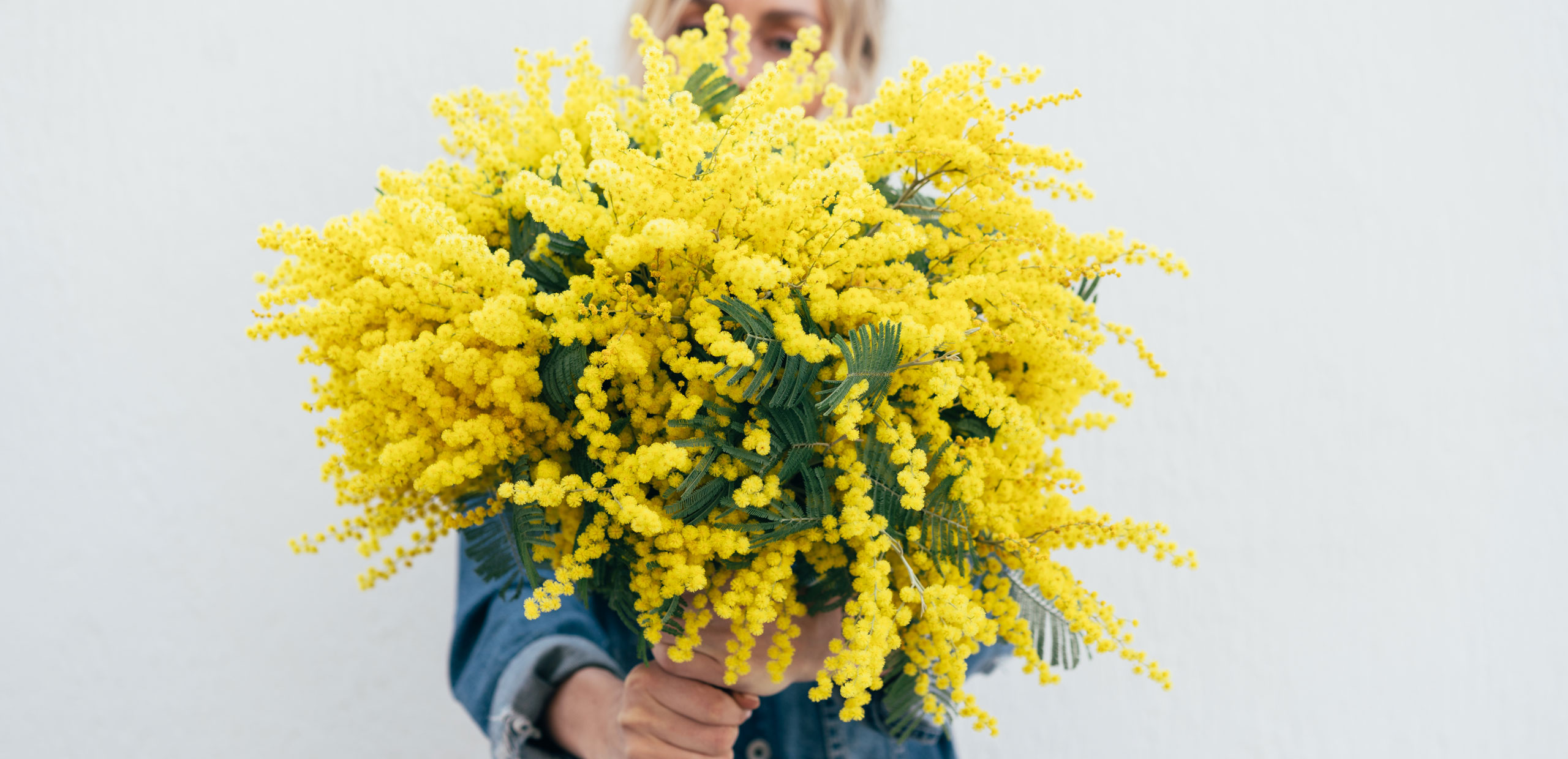 Flores amarillas para febrero